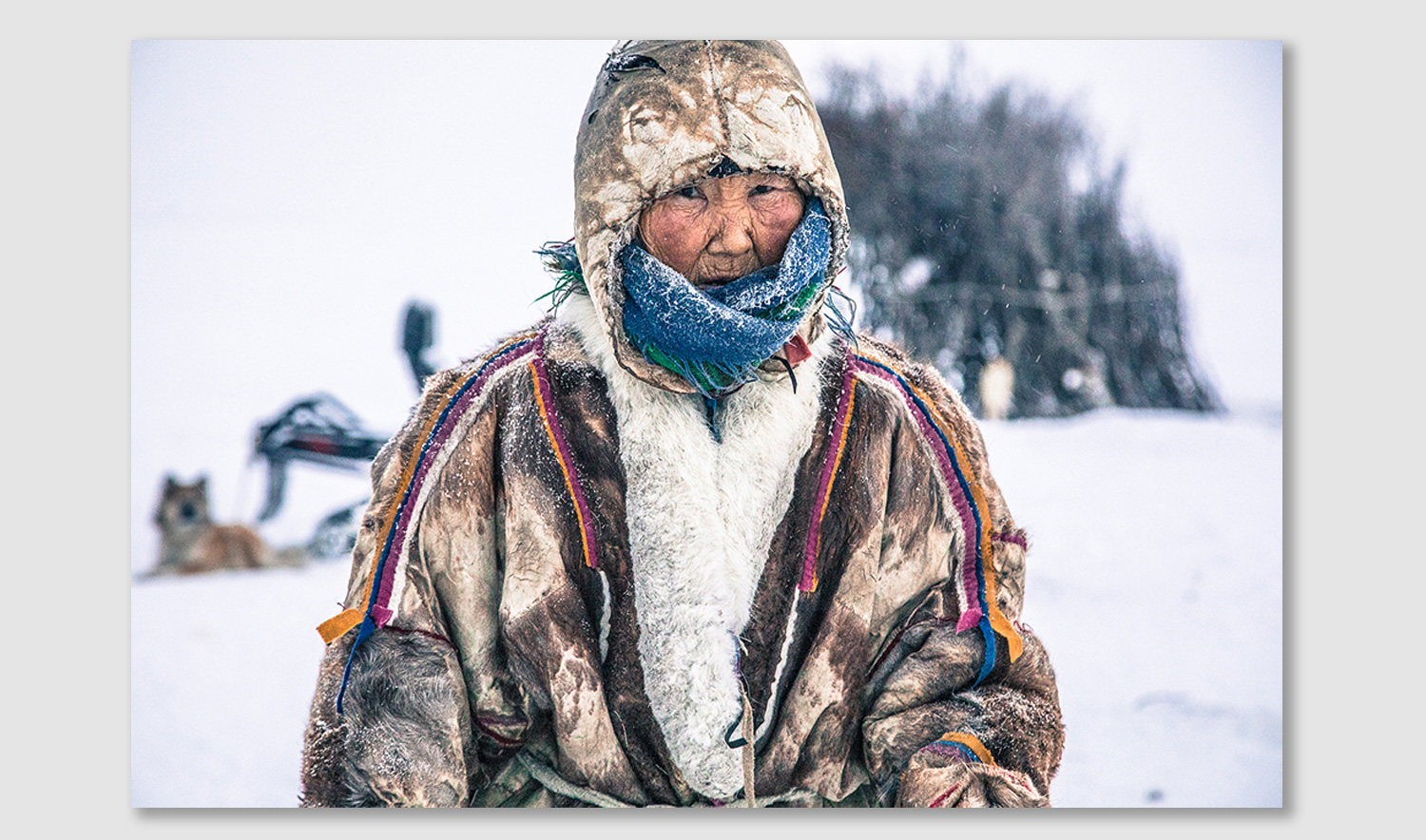Alegra Ally: New Path – A Window on Nenets Life